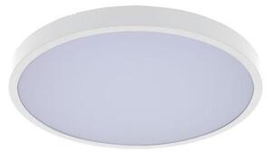 Rabalux 71427 - Plafoniera LED da bagno ALENZO LED/24W/230V IP44 bianco