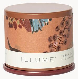 Candela profumata Vanity Tin (muschio di cashmere, foglia di tabacco e arancia)