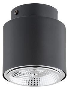 Plafoniera Moderna 1 Luce Faretto Aditya In Acciaio Nero