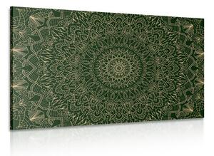 Quadri dettagliato Mandala decorativo verde