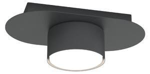 Lampada Da Soffitto 1 Luce Perseus In Acciaio Nero Diffusore A Cilindro