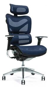 Sedia Da Ufficio Ergonomica In Rete E Similpelle – Altezza Regolabile, Supporto Lombare, Braccioli Ribaltabili, Base In Nylon, Carico Max 136 Kg