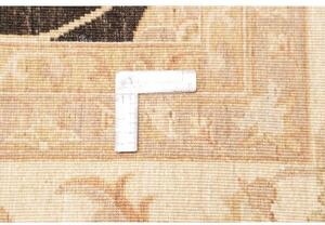Tappeto Zigler Fine Floreale Nero Avorio 250x363 Cm