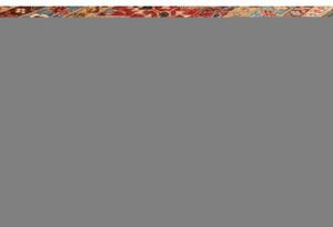 Tappeto Samarkand Geometrico Rosso Ocra 175x251 Cm