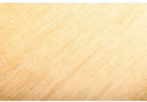 Tappeto Essenzia Tinta Unita Beige Avorio 172x240 Cm