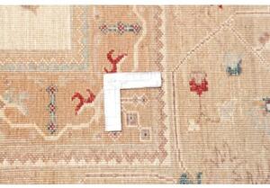 Tappeto Zigler Fine Floreale Avorio Beige 251x310 Cm