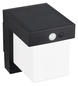 Illuminazione esterna LED con alimentazione a pannelli solari con sensore di movimento da parete (altezza totale 14 cm) Colombo – Trio