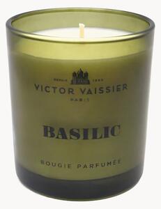 Candela profumata Basilic (Basilico vivace, menta leggera)