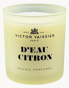 Candela profumata Victor (acqua al limone)