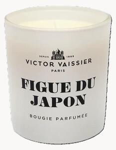 Candela profumata Figue du Japon