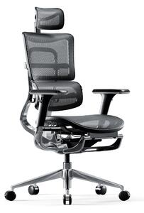 Diablo V-Master Sedia ergonomica da ufficio Sedia direzionale Poggiapiedi Bracciolo 3D Supporto lombare Poggiatesta regolabile e sedile in rete Nero-Grigio