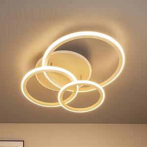 FISCHER & HONSEL Plafoniera a LED Gelder, dimmerabile, Soggiorno / Sala da pranzo, Metallo, Moderno, Plafoniera LED