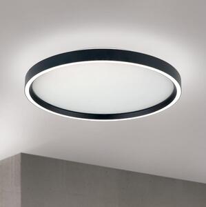 Orion DL 7-697/40-Luce LED dimmerabile MASCA LED/36W/230V 2700/3350/4000K diametro 40 cm