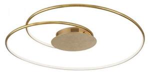 Paul Neuhaus 6189-12 - Plafoniera LED dimmerabile NASTRO LED/26W/230V