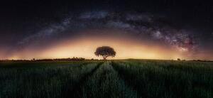 Fotografia Milky way over lonely tree, Ivan Ferrero