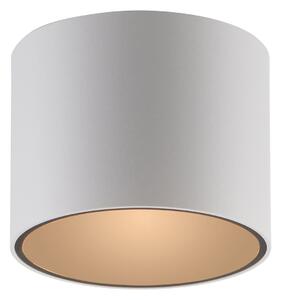Plafoniera PURE, Point, dimmerabile, Bianco, Bagno, Metallo, Moderno
