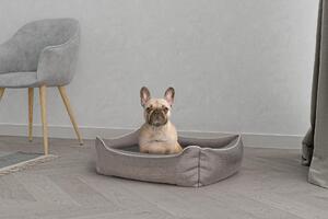Omgoods - Cuccia elegante per cani e gatti - Marrone - 62 x 50 x 17 cm