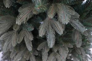 Albero di Natale Artificiale 210 cm 64 Rami Acero del Gargano Verde