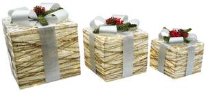 Set 3 Pacchi di Natale con LED in Plastica Bianco e Argento