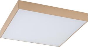 Rabalux 77000 - Plafoniera LED da soffitto per bagno TARTU 24W/230V 2800/4000/6000K IP44