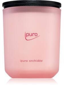 Ipuro Classic Orchidée candela profumata 270 g