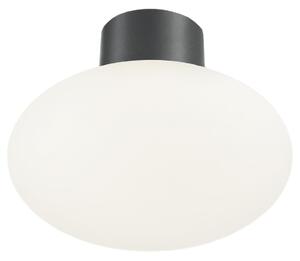 Ideal Lux - Plafoniera per esterni CLIO 1xE27/42W/230V IP44 antracite