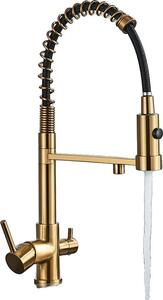 Rubinetto da cucina, acqua filtrata, doppia maniglia, oro spazzolato