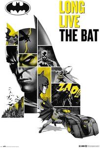 Posters, Stampe Batman - 80th Anniversary