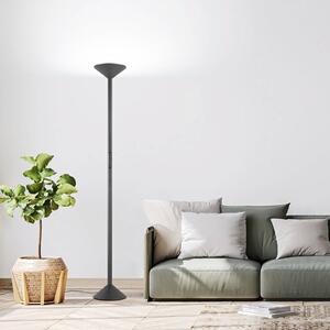 Fabas Luce Lampada da terra con luce lettura Tratto, dimmerabile, Nero, Soggiorno / Sala da pranzo, Metallo, Moderno, Lampada LED da terra