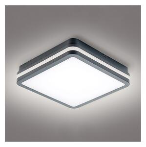 Brilagi - Lampada LED da esterno con sensore BENE LED/24W/230V 26x26 cm IP54