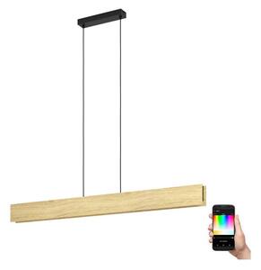 Eglo 900388 - LED RGBW Lampadario dimmerabile a sospensione con filo ANCHORENA-Z LED/35W/230V