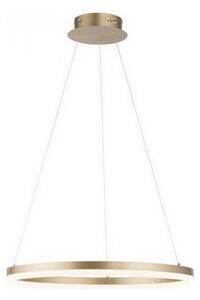Paul Neuhaus 2382-60 - Lampadario a sospensione con filo LED dimmerabile TITUS LED/38,5W/230V