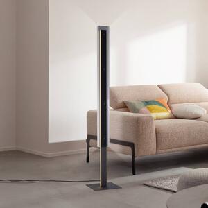 Schöner Wohnen Lampada da terra a LED Lena, dimmerabile, Nero, Soggiorno / Sala da pranzo, Metallo, Moderno, Lampada LED da terra