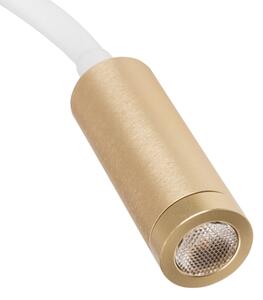 Kanlux 32518 - Lampada flessibile TONIL LED/3,3W/230V bianca/oro