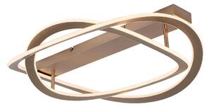 Rabalux 71280 - Plafoniera LED KALLIRA LED/72W/230V 3000K diam. 59 cm
