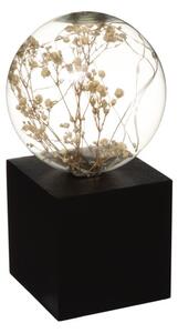 Atmosphera - lampada da tavolo a LED MICRO LED/2xAAA antracite