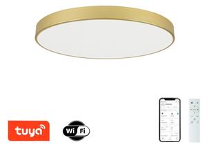 Brilagi - Lampada LED dimmerabile POOL SMART LED/100W/230V 80 cm dorata Wi-Fi Tuya + telecomando