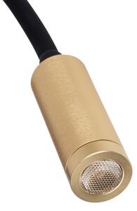 Kanlux 32519 - Lampada LED flessibile TONIL LED/3,3W/230V nera/dorata