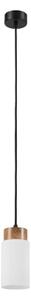 Lampada a sospensione con cavo MARKUS 1xE27/15W/230V nero/rovere