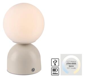 Schöner Wohnen 19218-39 - Lampada da tavolo LED dimmerabile RUDI LED/1,2W/5V grigia