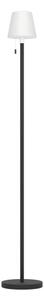 Eglo 75891 - Lampada da terra per esterni dimmerabile LED RGBW MONTAPALMA-L LED/2,2W/3,7V IP54