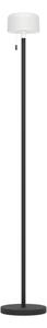 Eglo 75888 - Lampada da terra per esterni dimmerabile LED RGBW MONTAPALMA-L LED/2,2W/3,7V IP54