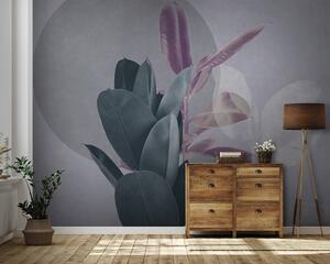 Carta da parati Ficus su uno sfondo di un muro grunge in toni di grigio, Carta da parati Natura, Carta da parati Foglie, u71334v3 : Uwalls.it