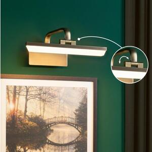 Paulmann 95568 - Lampada per quadri LED 6W RENAN 230V 30 cm ottone
