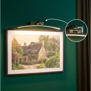 Paulmann 95561 - LED/10W Lampada per quadri BENTO 230V 50 cm ottone