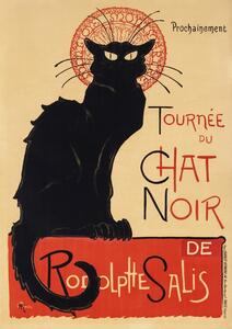 Riproduzione Il Gatto Nero, Theophile Alexandre Steinlen