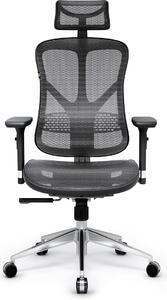 Silecomplaza - Sedia da ufficio ergonomica V-Basic, sedia da scrivania con supporto lombare