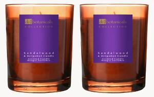Set di 2 candele profumate The Sandalwood & Bergamot Harmony