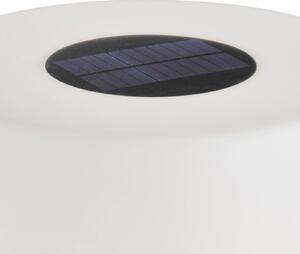 Schöner Wohnen Mina piantana solare LED a batteria