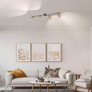 FISCHER & HONSEL Vano faretto da soffitto LED oro, 4 luci
